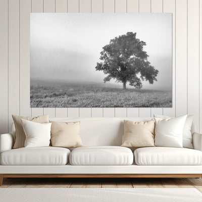 Tree in a Foggy Field Black and White Print