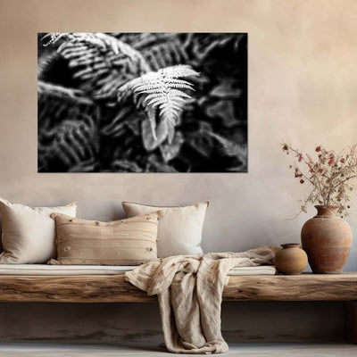 Calming Fern Artwork