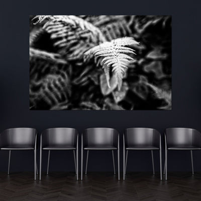 Calming Fern Artwork