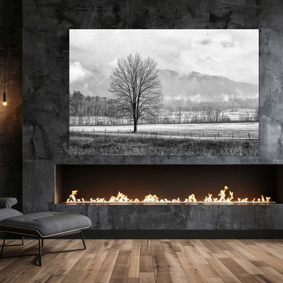 Black and White Tree and Country Road Art Print