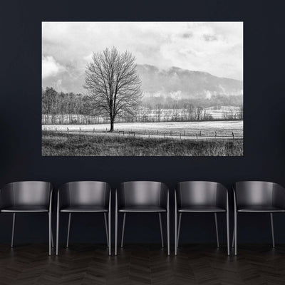 Black and White Tree and Country Road Art Print