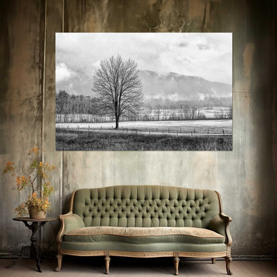 Black and White Tree and Country Road Art Print