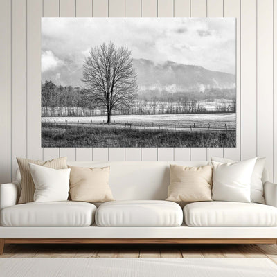 Black and White Tree and Country Road Art Print