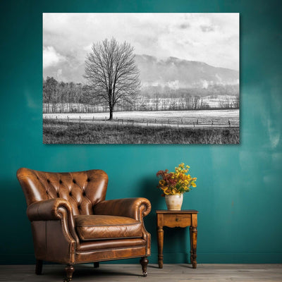 Black and White Tree and Country Road Art Print