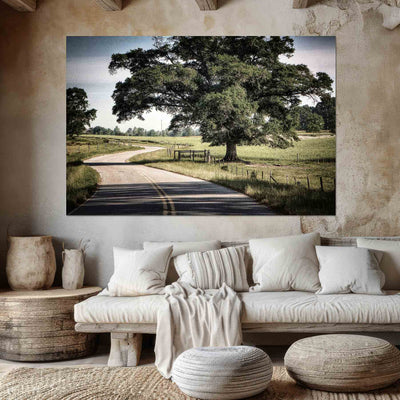 country road art photography