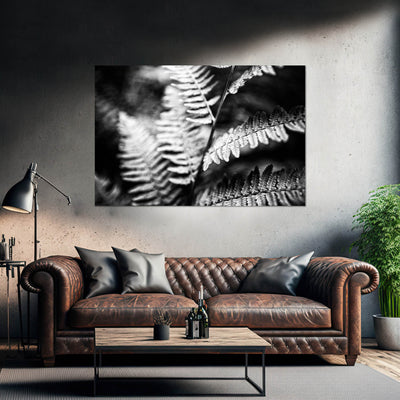 Black and White Ferns Calming Art Print