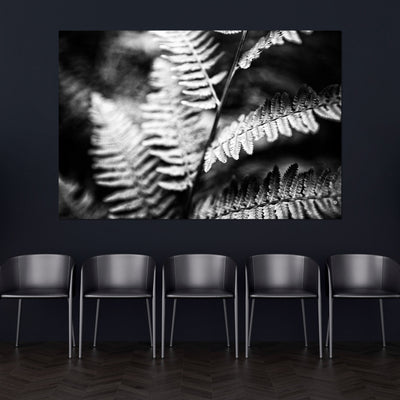 Black and White Ferns Calming Art Print