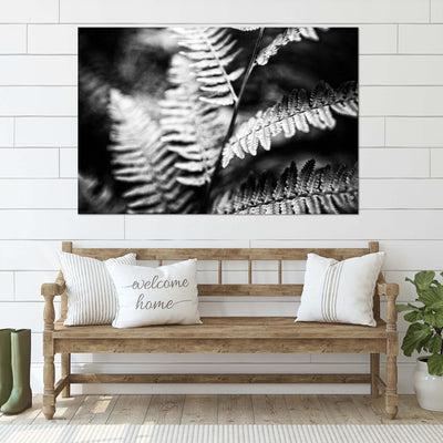 Black and White Ferns Calming Art Print