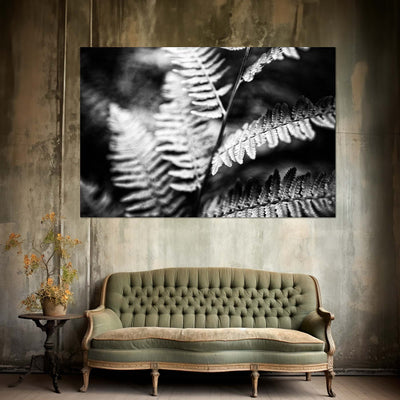 Black and White Ferns Calming Art Print