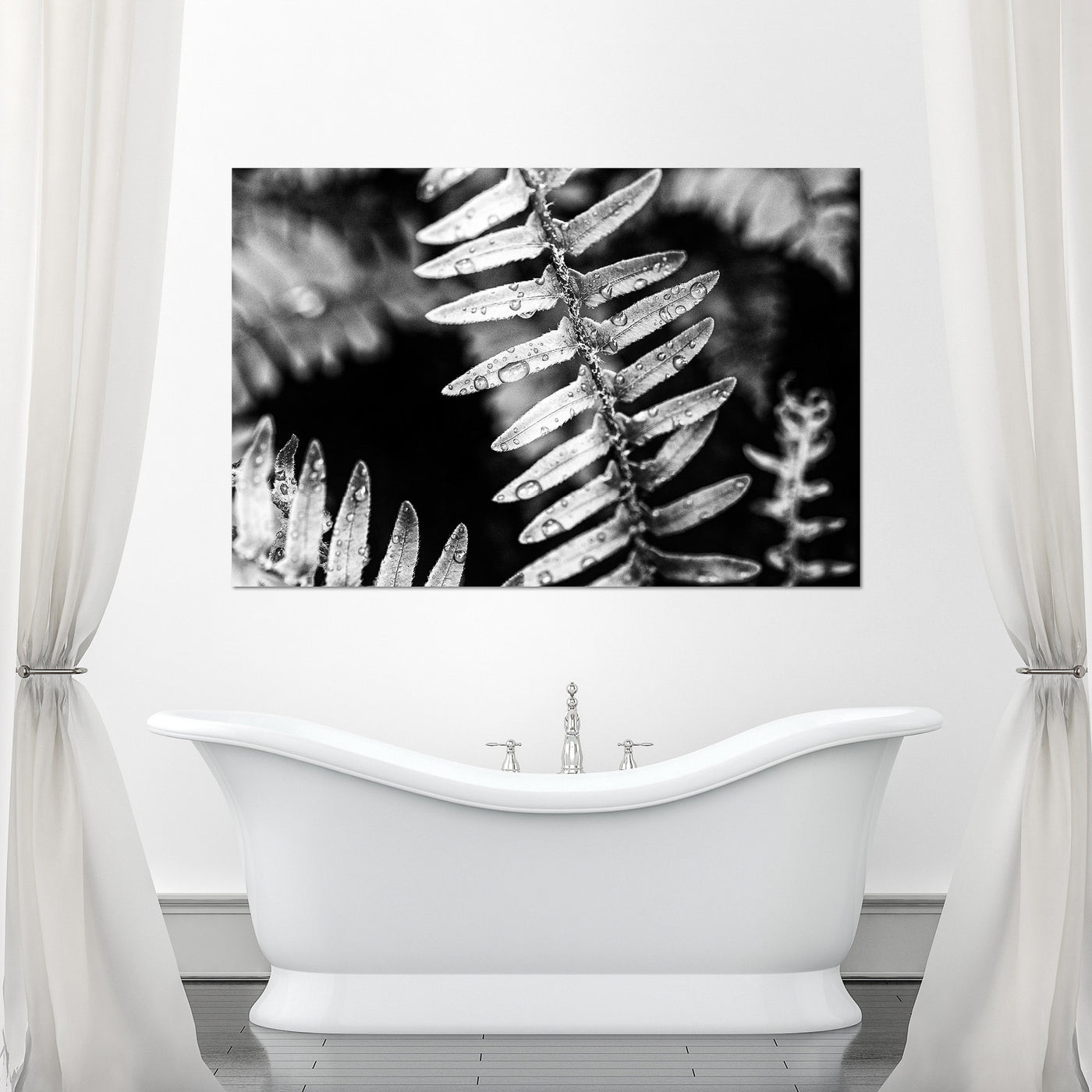 Calming Artwork - Black and White Fern Art Print