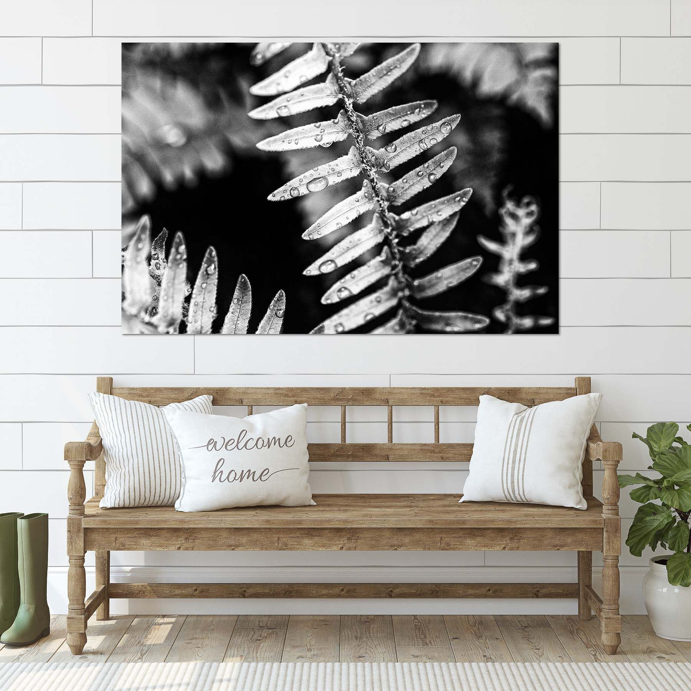 Calming Artwork - Black and White Fern Art Print