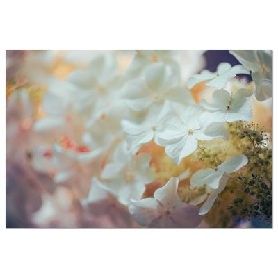 Floral Wall Art Prints
