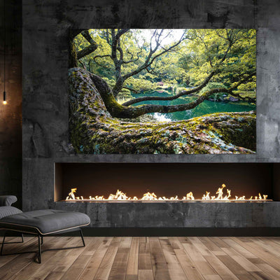 Flowing Tree Branches by a Pond Art Print