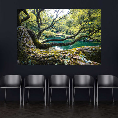Flowing Tree Branches by a Pond Art Print