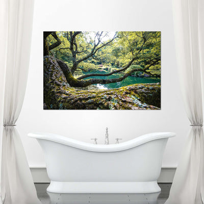 Flowing Tree Branches by a Pond Art Print
