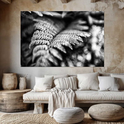 Black and White Fern Art Prints