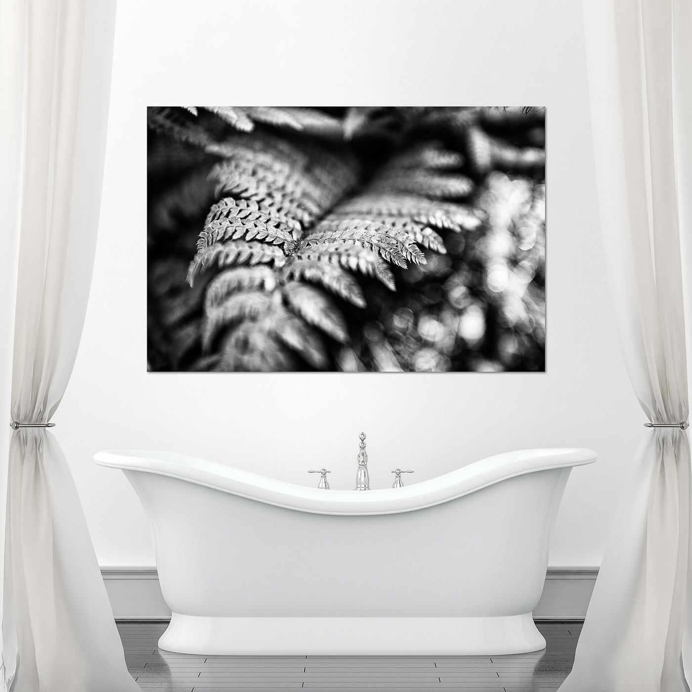 Black and White Fern Art Prints