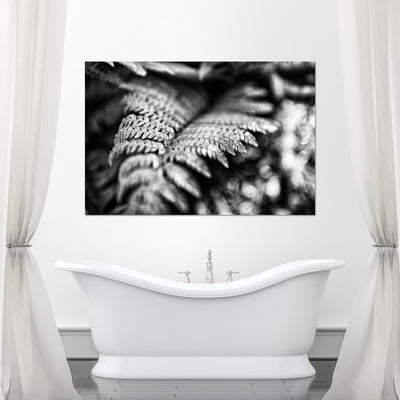 Black and White Fern Art Prints