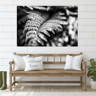 Black and White Fern Art Prints