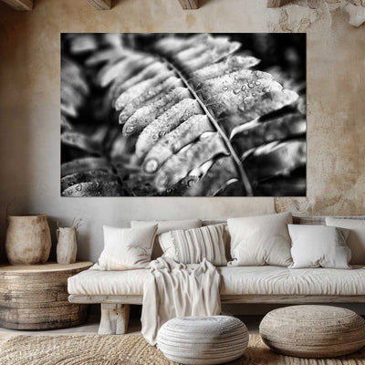 Black and White Fern Wall Art Print