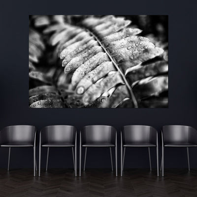 Black and White Fern Wall Art Print