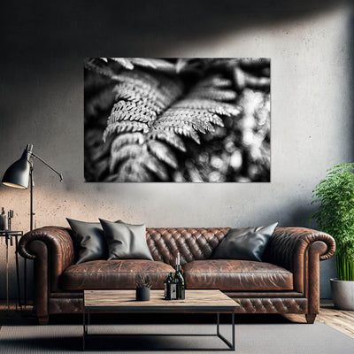 Black and White Fern Art Prints