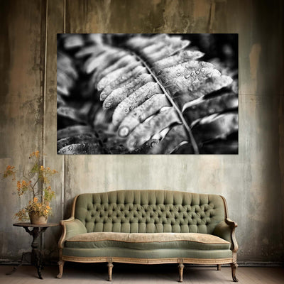 Black and White Fern Wall Art Print