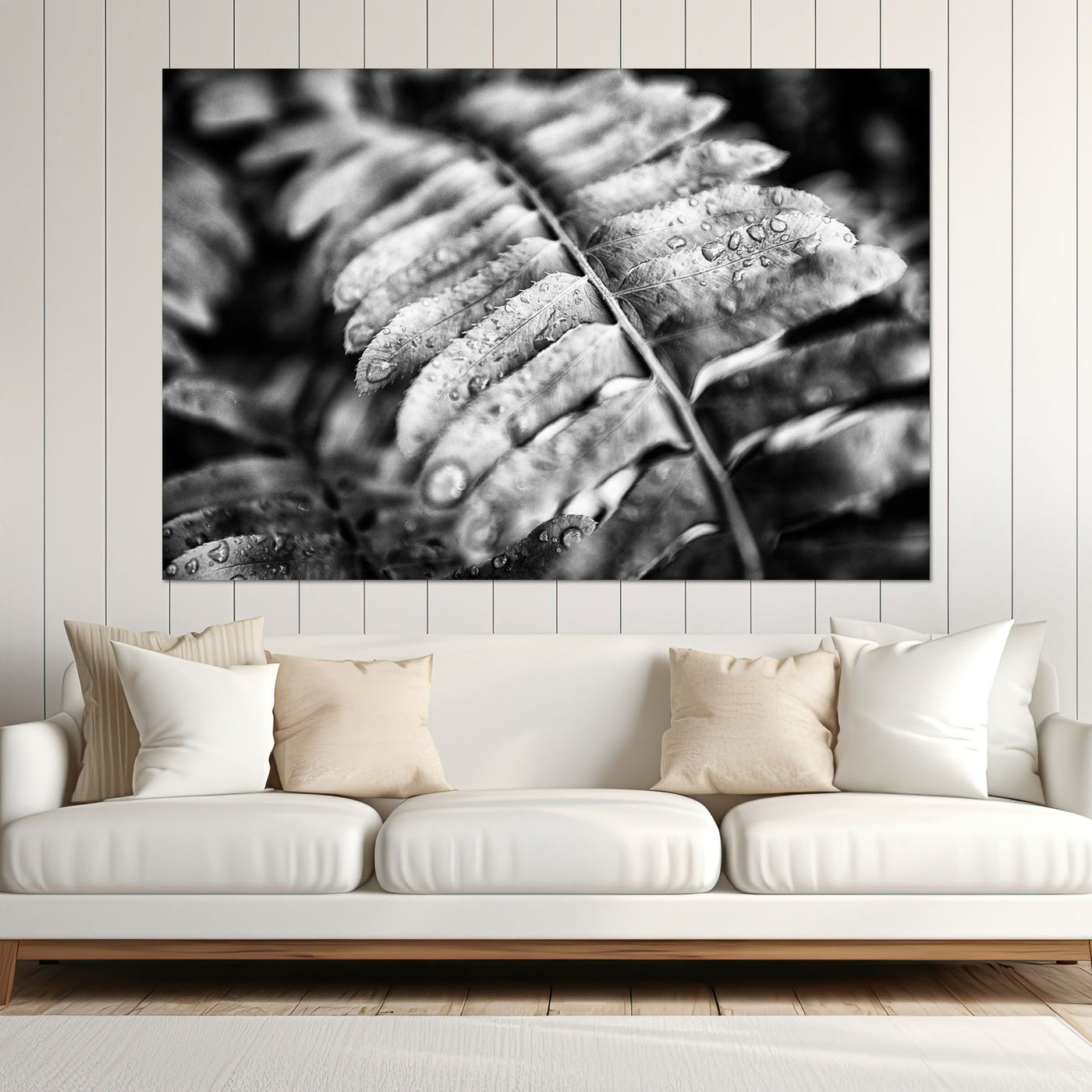 Black and White Fern Wall Art Print