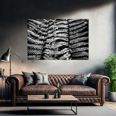 Black and White Fern Art Print