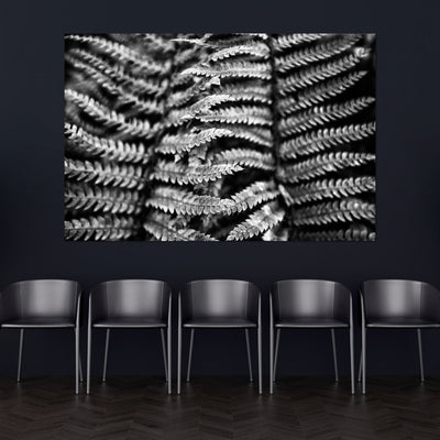 Black and White Fern Art Print
