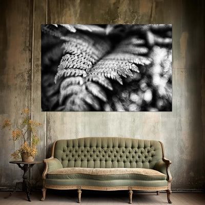 Black and White Fern Art Prints