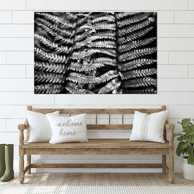 Black and White Fern Art Print
