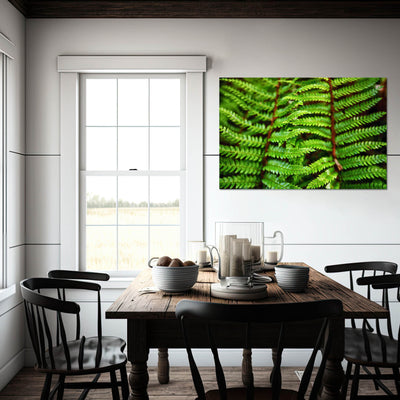 Beautiful Fern Wall Art