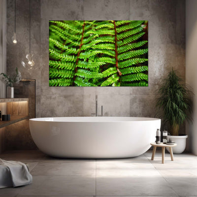 Beautiful Fern Wall Art