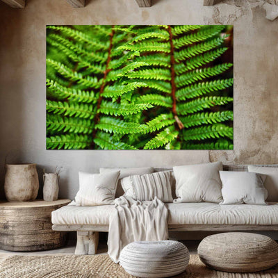 Beautiful Fern Wall Art
