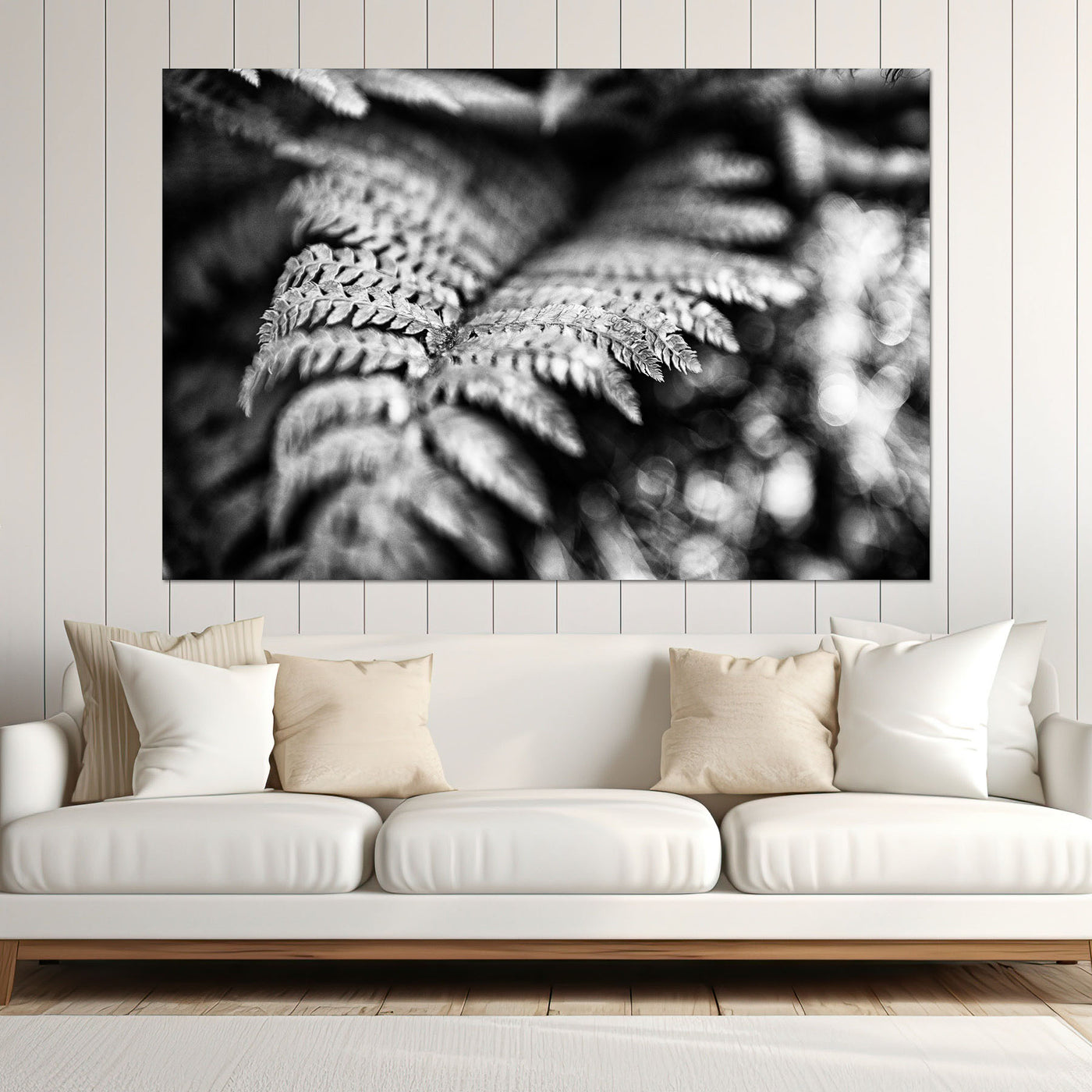 Black and White Fern Art Prints