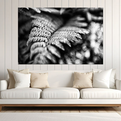 Black and White Fern Art Prints