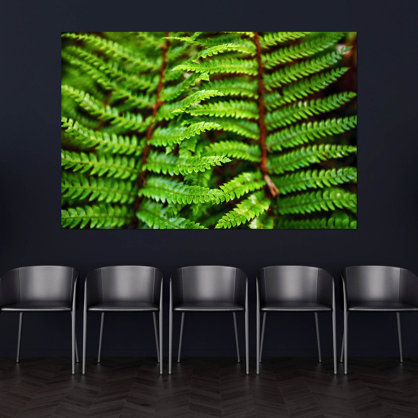 Beautiful Fern Wall Art