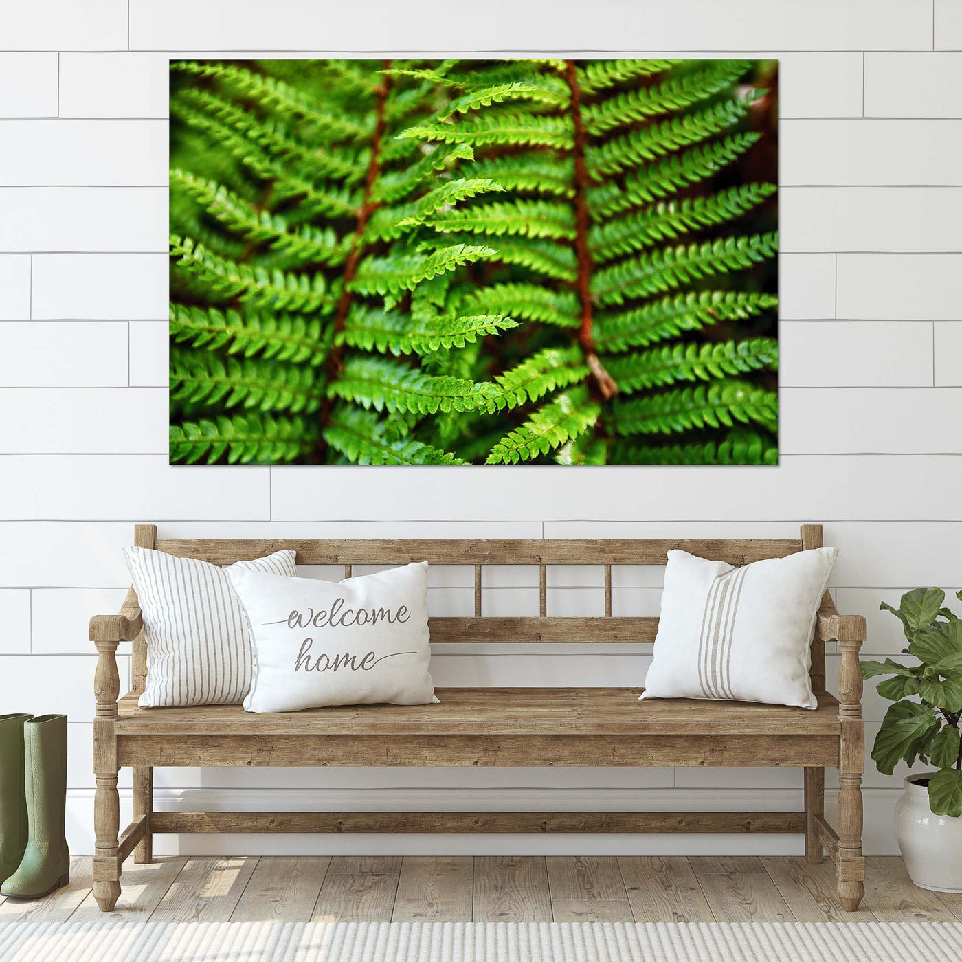 Beautiful Fern Wall Art