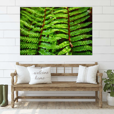 Beautiful Fern Wall Art