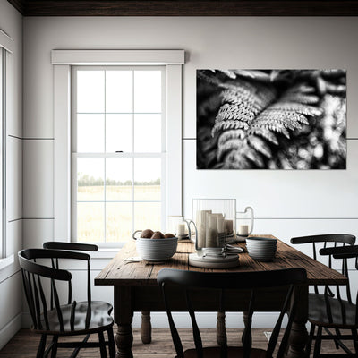 Black and White Fern Art Prints