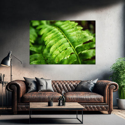 Fern Calm Artwork