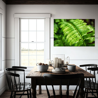 Fern Calm Artwork