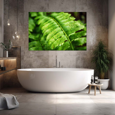 Fern Calm Artwork
