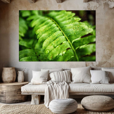 Fern Calm Artwork