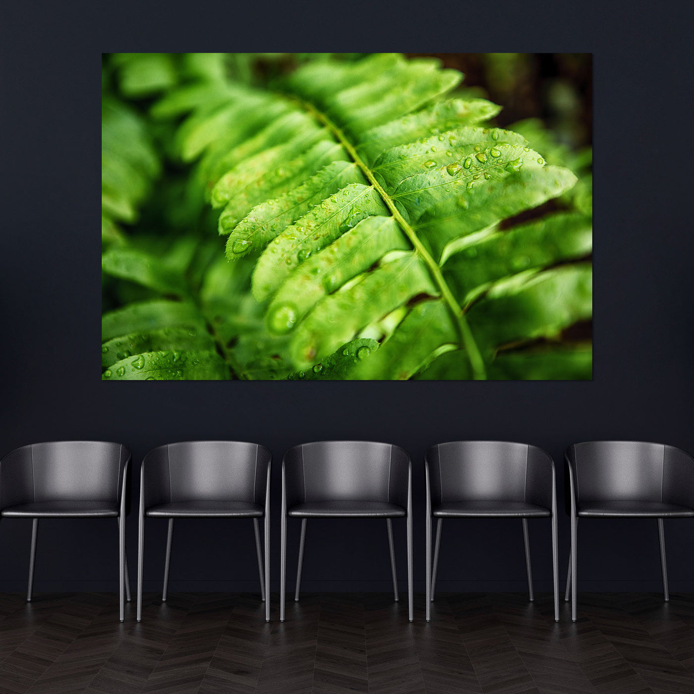 Fern Calm Artwork