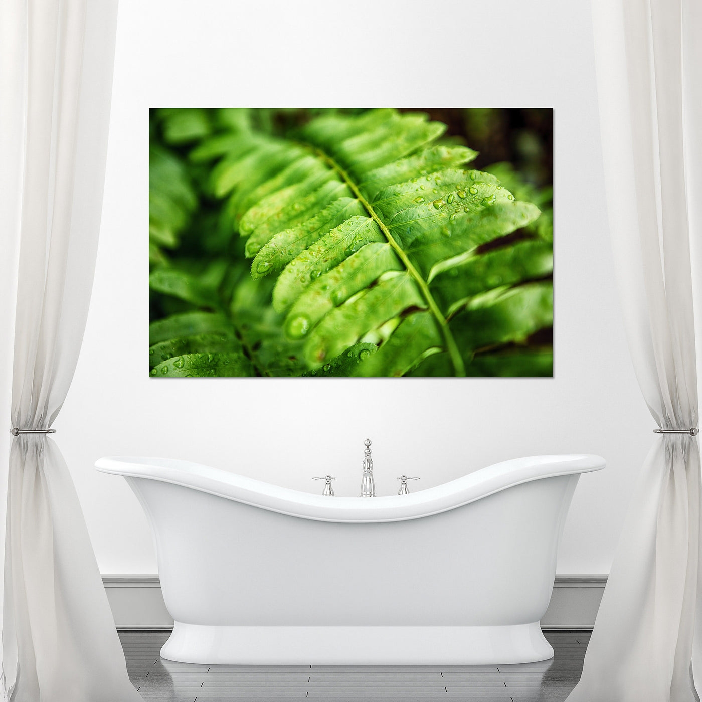 Fern Calm Artwork