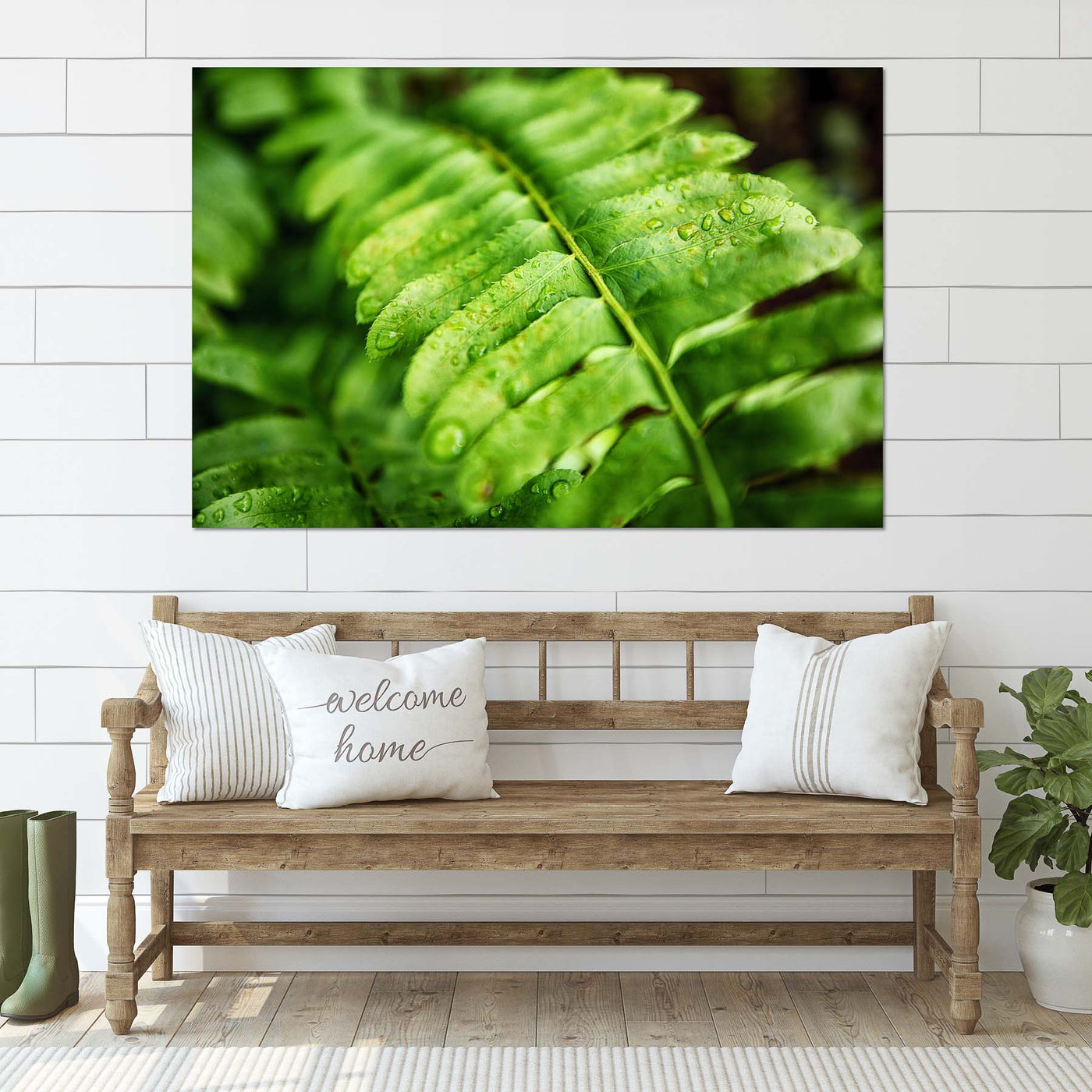 Fern Calm Artwork