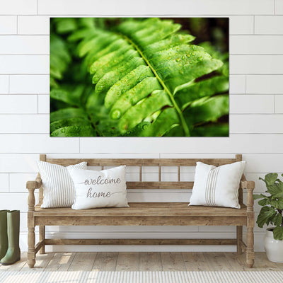 Fern Calm Artwork