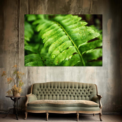 Fern Calm Artwork